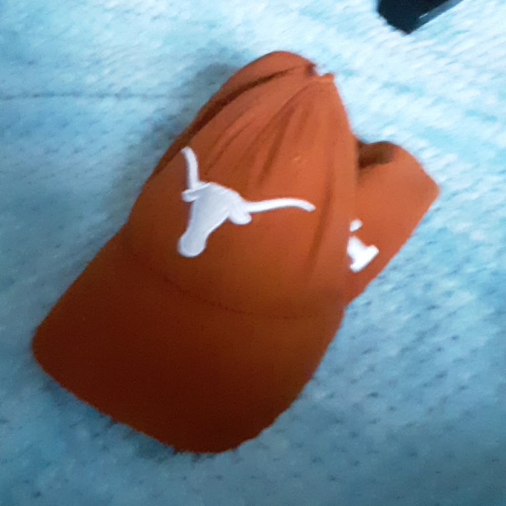 Texas Longhorns hat
